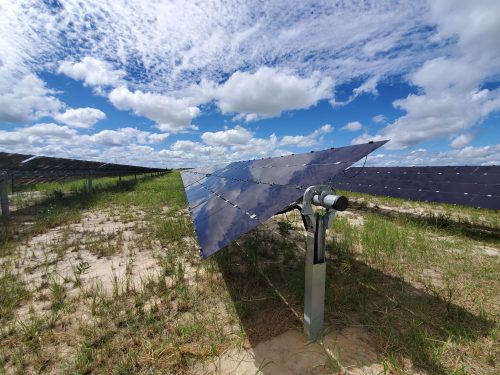 Rows of solar panels in a solar farm